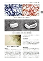 戸田新細菌学　改訂34版