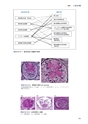臨床腎臓内科学