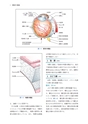 TEXT眼科学 改訂3版