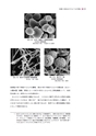 ナースのための微生物学 改訂6版