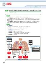 visual core pharma 薬物治療学 改訂15版